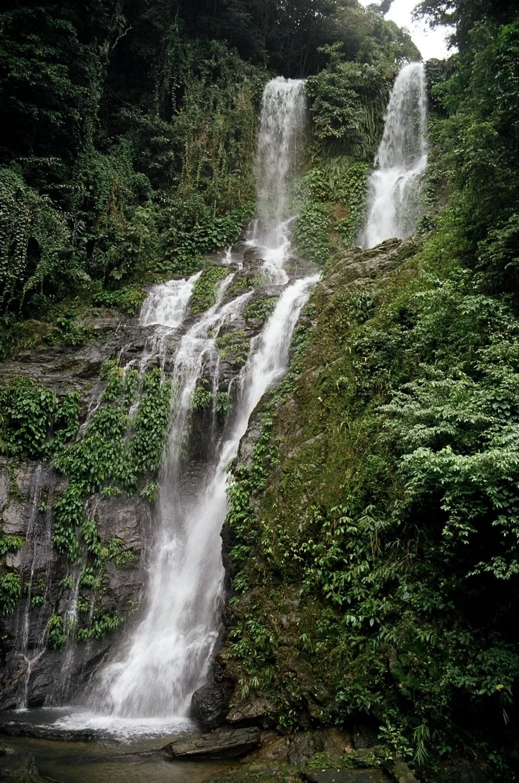Tamaraw Falls flowing through green hills in Puerto Galera